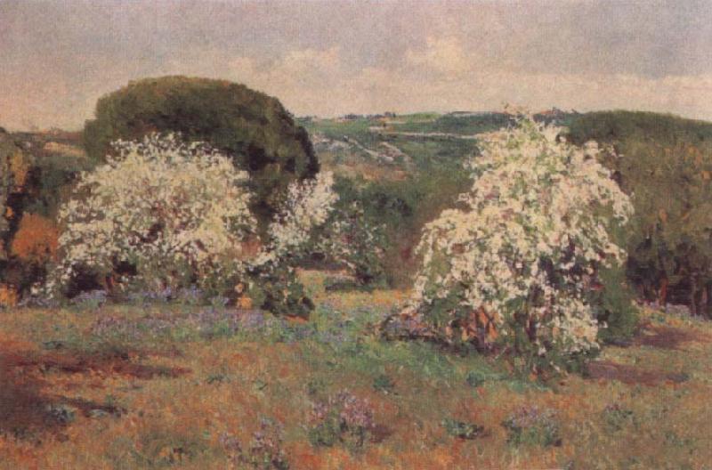 Aureliano De Beruete Y Moret Hawthorn in Blossom oil painting picture